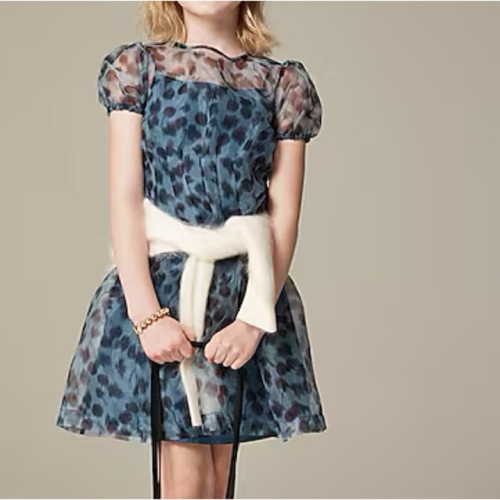 Crewcuts NWT Girls' puff-sleeve organza tulle dress in blurry cherries print